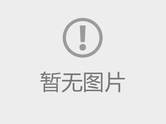 2025年度基层党建“书记项目：党建引领促发展 科学教育添动能
